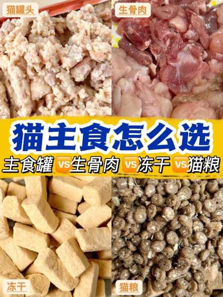 猫咪吃生骨肉的这些好处是什么（猫咪吃生骨肉会长胖吗）