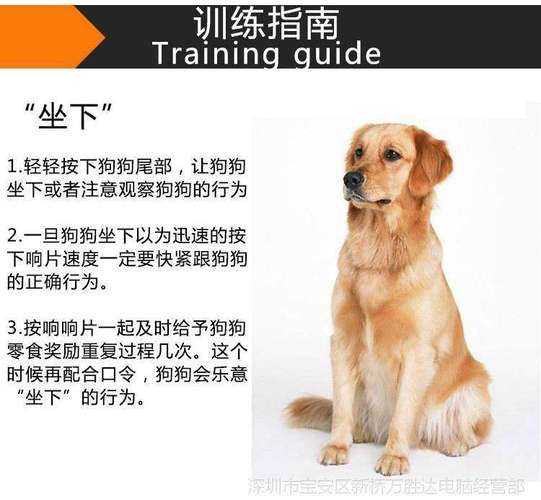 德国牧羊犬训练方法和步骤（德国牧羊犬训练方法和步骤）