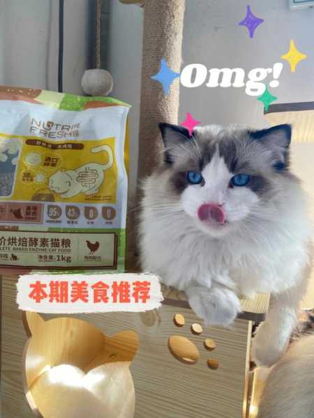 布偶猫吃什么营养品最好（布偶猫咪吃什么猫粮比较好）