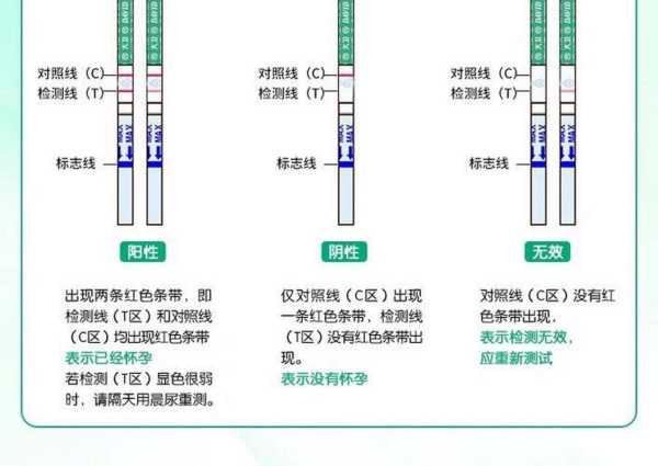 早孕试纸什么时间测最佳（早孕试纸什么时间段测准确）