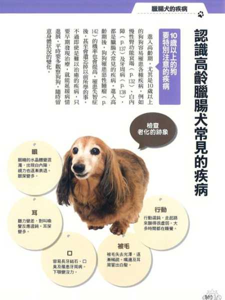 腊肠犬打喷嚏流鼻血的原因（腊肠犬容易生病吗）