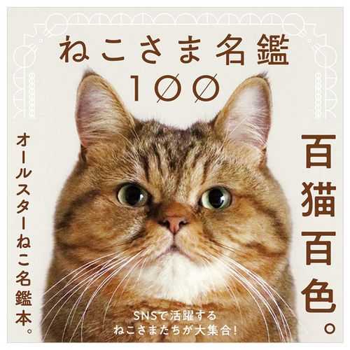 日本好听的猫名字（日本猫名日语）