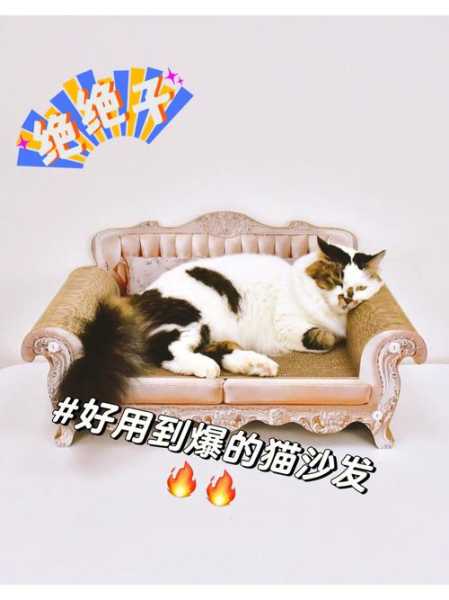 猫咪喜欢挠沙发怎么办（猫喜欢抓沙发是什么原因）