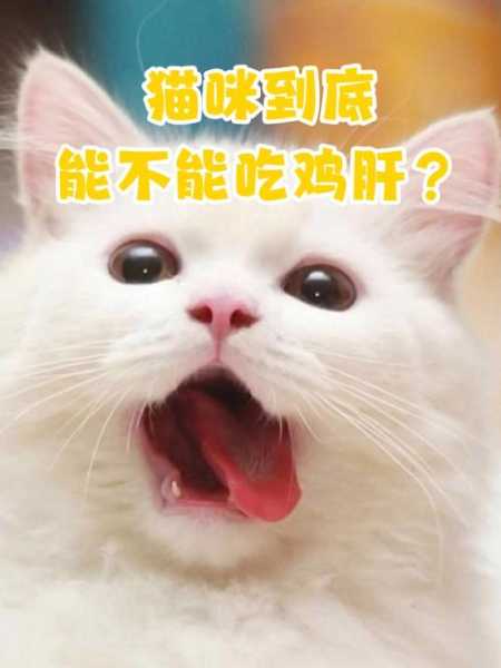 猫咪经常吃鸡肝会缺什么营养（猫吃鸡肝有好处吗）