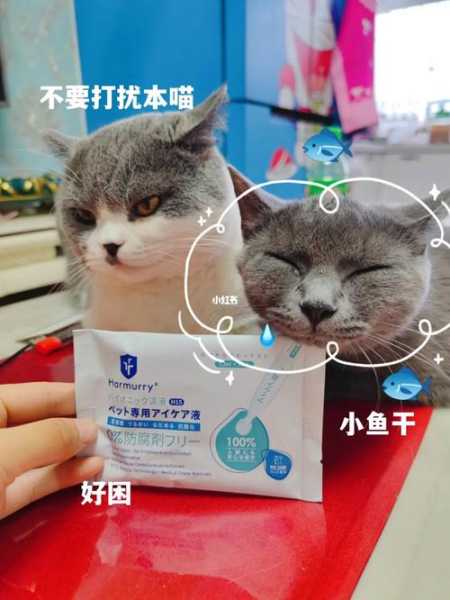 猫咪眼部护理（猫咪眼部护理液擦眼睛可以吗）