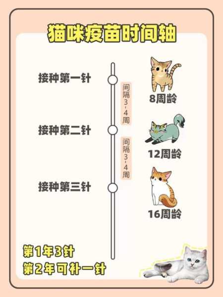 猫咪疫苗接种时间表（猫咪疫苗接种时间表格）