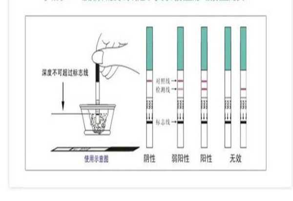 测孕试纸怎么用视频（测孕纸使用视频）