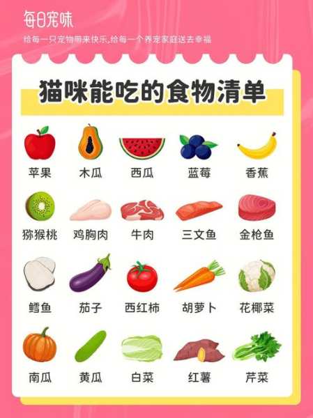 给猫吃什么促进食欲（给猫吃什么呢）