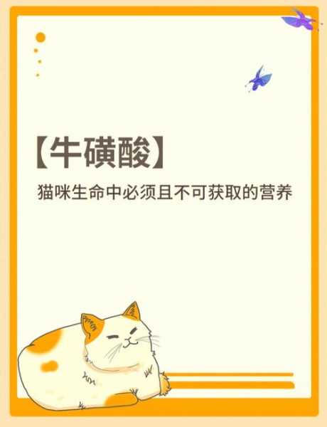 牛磺酸为什么会对猫咪有害（牛磺酸对猫咪的影响）