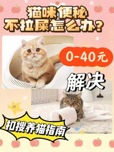 猫拉粑粑不成形（猫拉粑粑不成形怎么回事）