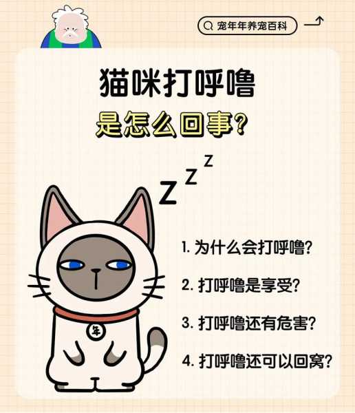 猫打呼噜表示什么（猫猫打呼噜是什么）