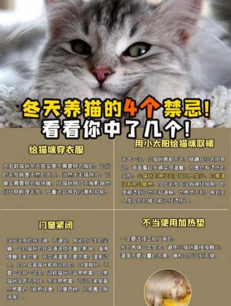 养猫需要经常消毒吗（养猫需要经常消毒吗冬天）