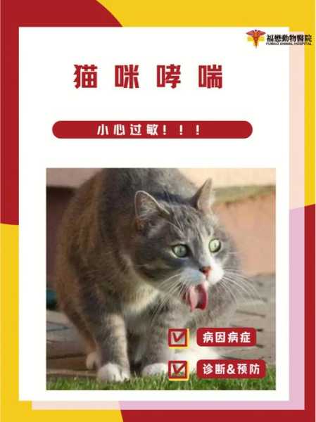 猫会导致哮喘吗（猫会的哮喘吗）