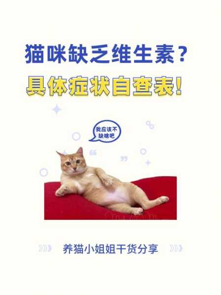 猫咪缺少维生素（猫咪缺少维生素b1什么症状）