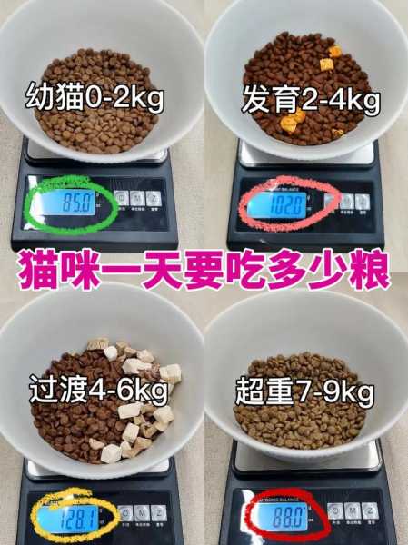 不同年龄段的猫狗每天吃多少（猫各年龄段喂食的量）