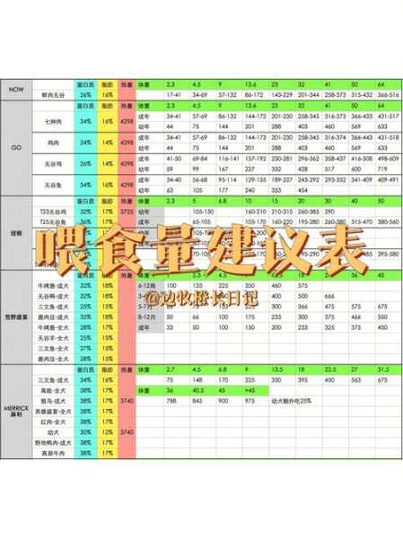 边牧怎么喂养?边境牧羊犬最合理的饮食安排（边牧的喂养方法）