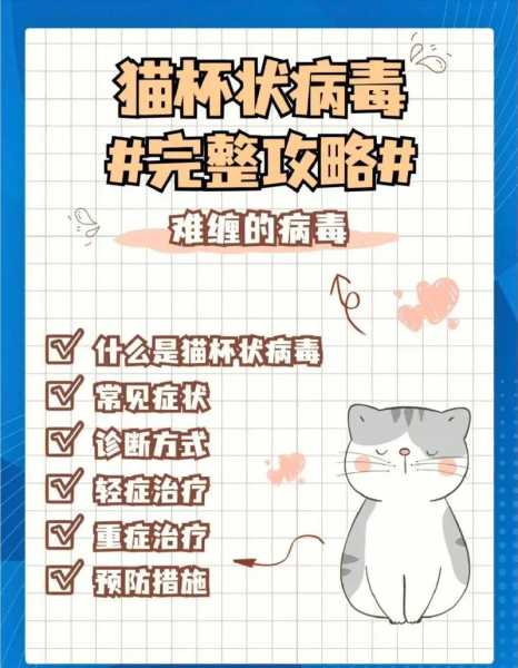 猫感染了杯状病毒怎么办（猫感染了杯状病毒怎么办能治好吗）