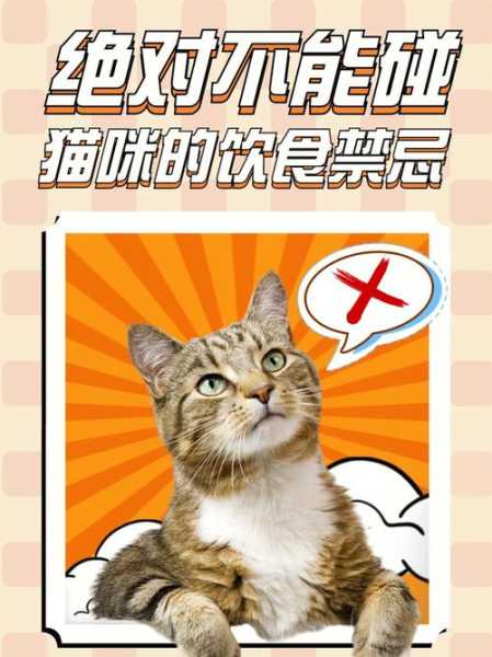 猫不能吃哪些海鲜（猫不能吃什么吗）