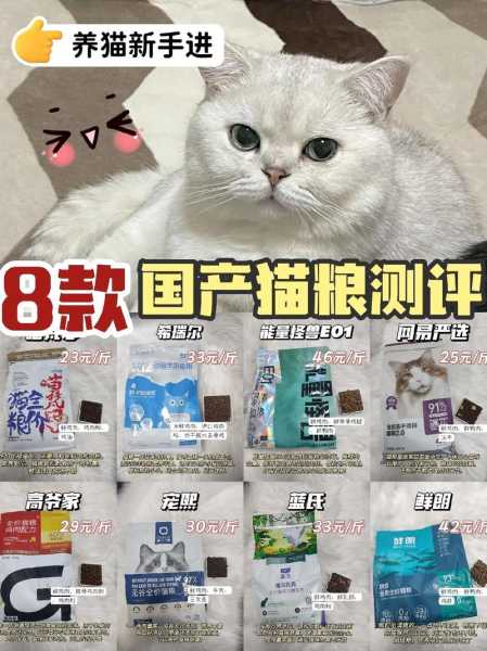 猫粮到底哪个好（猫粮哪款好）