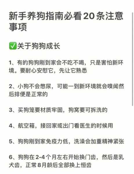 喂养狗狗六点注意事项有哪些（喂狗注意卫生事项）