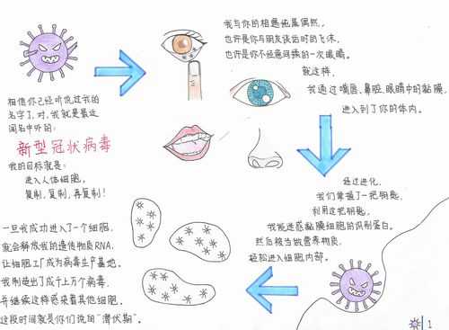 细小病毒传染源（细小病通过什么传染）