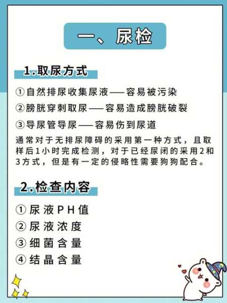 狗狗疾病（狗狗疾病快速诊断）