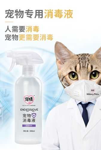 家里养猫用什么消毒液打扫（家里养猫用什么消毒液打扫比较好）