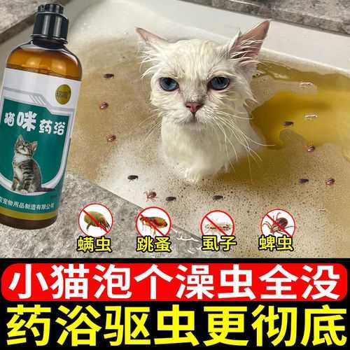 猫长跳蚤怎么办用什么药（猫长跳蚤了怎么消灭）