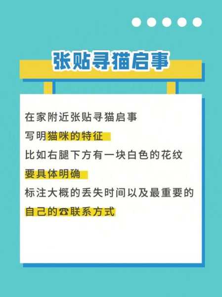 如何防止猫走丢（如何防止猫走失）