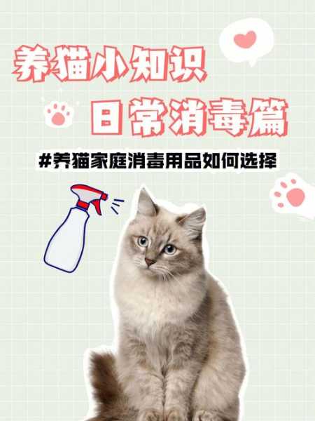 养猫平时要消毒吗（家里养猫有没有必要对家里进行消毒）