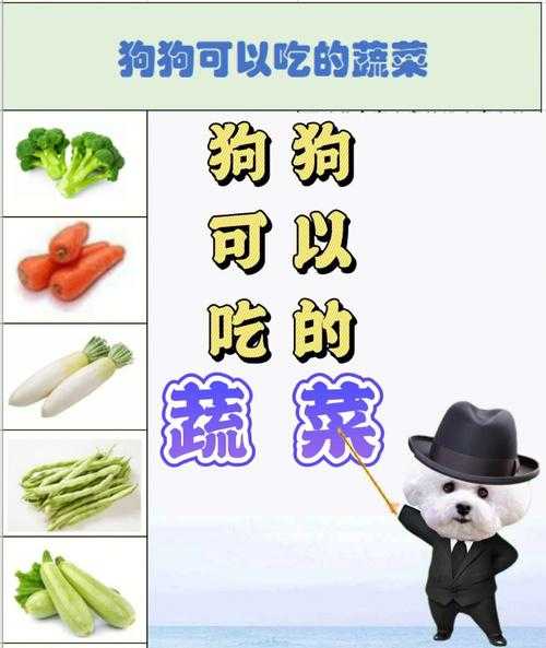 狗狗吃蔬菜水果有啥好处（狗狗多吃蔬菜的好处）