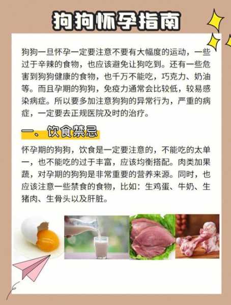 怀孕狗狗需要注意什么（宠物狗孕期注意什么）