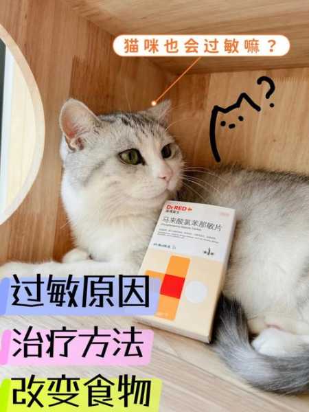 对猫咪过敏可以自愈吗（对猫过敏会有生命危险吗）