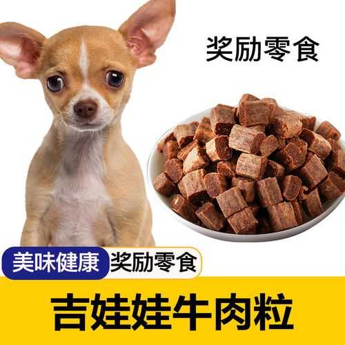 吉娃娃犬吃什么食物有营养（吉娃娃犬可以吃什么）