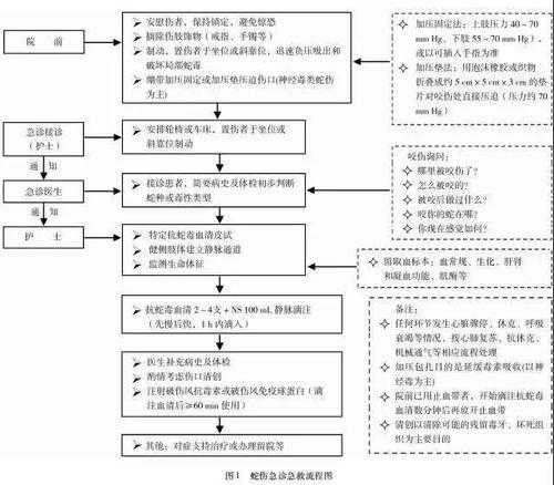 被蛇咬伤的急救方法是（被蛇咬了的急救措施）