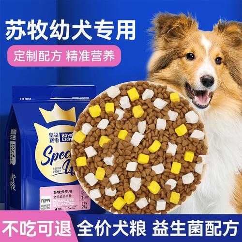 苏格兰牧羊犬不能用什么药（苏格兰牧羊犬吃什么狗粮）