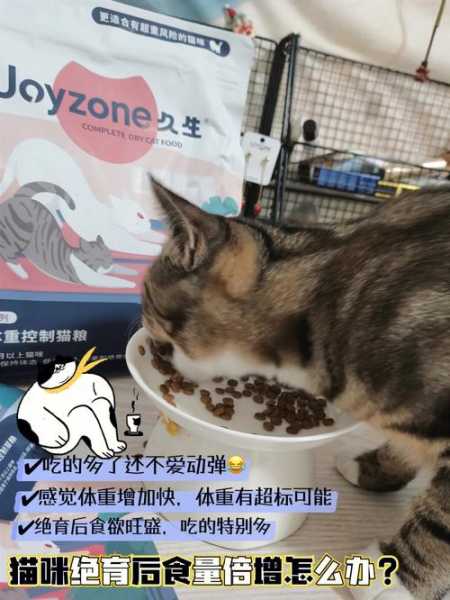 猫咪便秘可以喝牛奶吗（猫咪便秘可以吃猫粮吗）