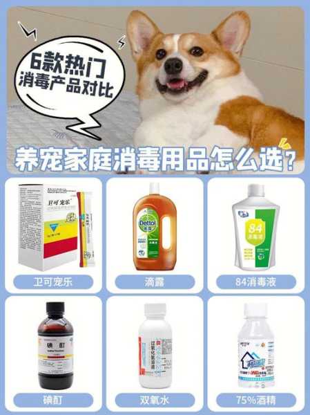 狗狗消毒液怎么用（狗狗专用消毒液多少钱）