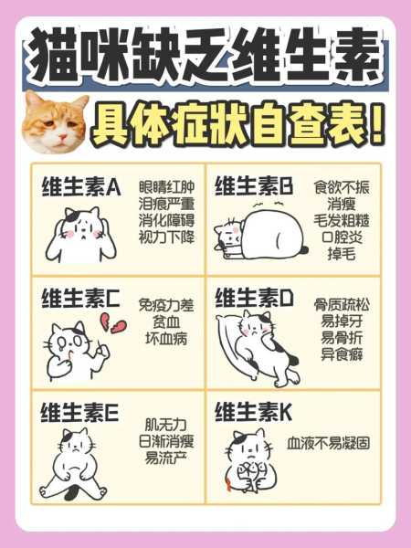 猫咪维生素缺乏症（猫咪维生素缺乏症的症状）