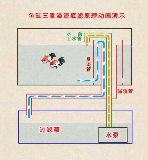 养观赏鱼的过滤方法（养观赏鱼的过滤方法图解）