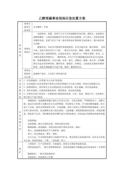 特殊情况处置措施及方案（特殊情况安全处置应急预案）