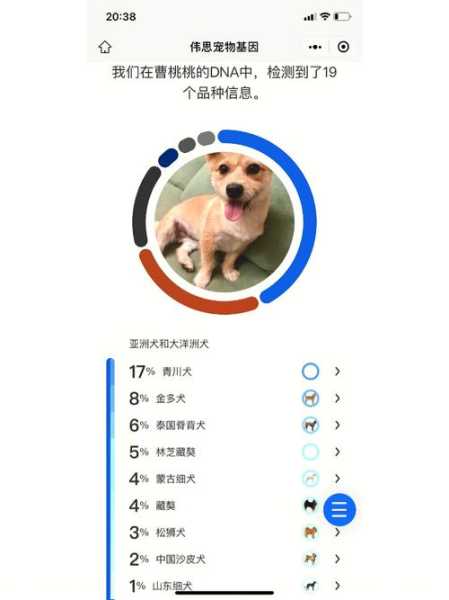 测试狗的品种app（测试狗狗性格的方法）