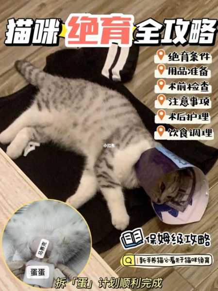 猫咪繁育学（猫繁育厂）