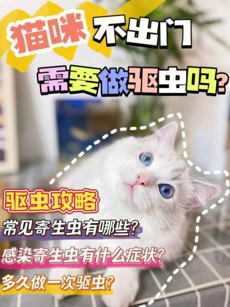 和猫睡会感染寄生虫吗（跟猫同睡会不会传染）