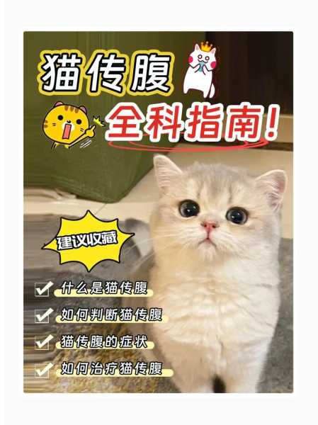 猫传染性腹膜炎百科（猫传染性腹膜炎的主要传播途径为 ）