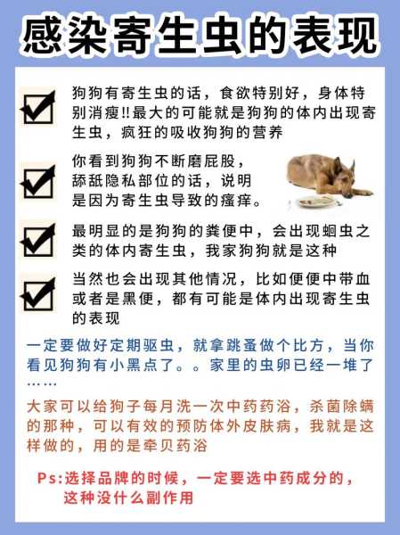 犬的病症和治疗方法（犬的疾病与防治）