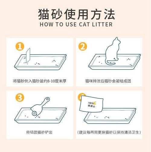 猫砂盆怎么去味（猫砂盆怎样除臭）