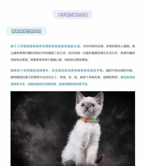 二手烟对猫狗的危害（二手烟对猫狗的危害有多大）