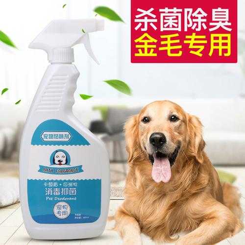 给狗狗消毒用什么消毒水（给狗狗消毒用什么消毒液）