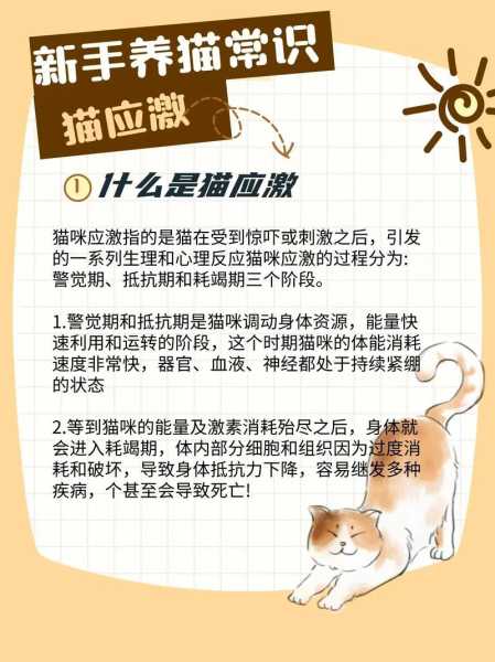 猫咪在什么情况下会出现应激反应（猫咪什么情况会导致应激反应）